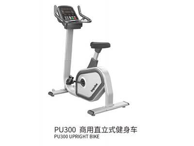 商用直立式健身车PU300